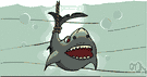 Carcharhinus - type genus of the Carcharhinidae