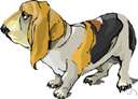 hound dog - any of several breeds of dog used for hunting typically having large drooping ears