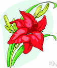 blossom out - develop or come to a promising stage