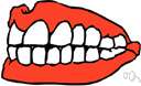 teeth - the kind and number and arrangement of teeth (collectively) in a person or animal