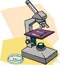 biopsy - examination of tissues or liquids from the living body to determine the existence or cause of a disease