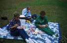 picnic - a day devoted to an outdoor social gathering
