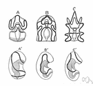 phylum Chordata - comprises true vertebrates and animals having a notochord