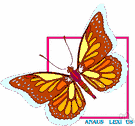 Danaüs - type genus of the Danaidae: monarch butterflies