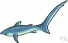 caudal fin - the tail of fishes and some other aquatic vertebrates