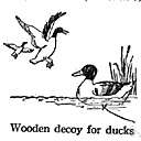 decoy - something used to lure fish or other animals into danger so they can be trapped or killed