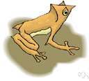 true frog - insectivorous usually semiaquatic web-footed amphibian with smooth moist skin and long hind legs
