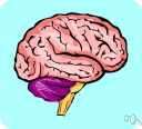 paleocortex - the olfactory cortex of the cerebrum