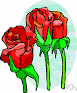 rosebud - the bud of a rose