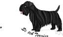 Scottie - old Scottish breed of small long-haired usually black terrier with erect tail and ears