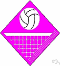 volleyball - an inflated ball used in playing volleyball