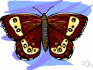 eyespot - an eyelike marking (as on the wings of some butterflies)