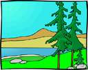 mountain pine - evergreen tree of New Zealand resembling the kawaka