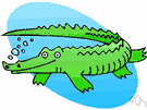 crocodile - large voracious aquatic reptile having a long snout with massive jaws and sharp teeth and a body covered with bony plates