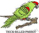 billed - having a beak or bill as specified