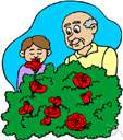 Bed of roses - definition of bed of roses by The Free Dictionary