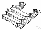 tread - structural member consisting of the horizontal part of a stair or step