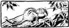 baronduki - terrestrial Siberian squirrel