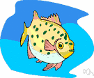 saltwater fish - flesh of fish from the sea used as food