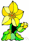 Goldcup - any of various plants of the genus Ranunculus