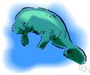 sirenian - any of two families of large herbivorous aquatic mammals with paddle-shaped tails and flipper-like forelimbs and no hind limbs