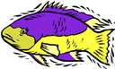 hogfish - large wrasse of western Atlantic