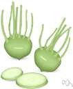 kohlrabi - plant cultivated for its enlarged fleshy turnip-shaped edible stem