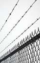 barbed wire - strong wire with barbs at regular intervals used to prevent passage