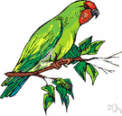 perch - support consisting of a branch or rod that serves as a resting place (especially for a bird)