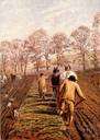 agricultural laborer - a person who tills the soil for a living