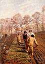 agricultural labourer - a person who tills the soil for a living