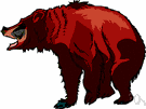 brown bear - large ferocious bear of Eurasia