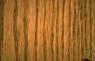 wood grain - texture produced by the fibers in wood