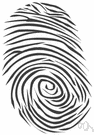 fingerprint - a print made by an impression of the ridges in the skin of a finger