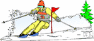 skiing - a sport in which participants must travel on skis