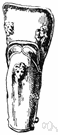 jambeau - armor plate that protects legs below the knee