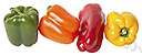 bell pepper - large bell-shaped sweet pepper in green or red or yellow or orange or black varieties
