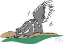 little spotted skunk - small skunk with a marbled black and white coat