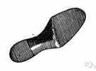 outsole - the outer sole of a shoe or boot that is the bottom of the shoe and makes contact with the ground