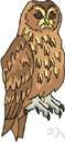 Strix aluco - reddish-brown European owl having a round head with black eyes