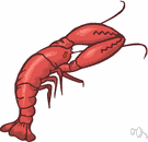 Homaridae - large-clawed lobsters