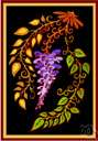 Wisteria chinensis - having deep purple flowers