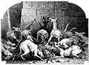 madness - an acute viral disease of the nervous system of warm-blooded animals (usually transmitted by the bite of a rabid animal)
