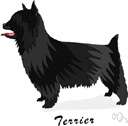 terrier - any of several usually small short-bodied breeds originally trained to hunt animals living underground