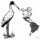 Mycteria definition of Mycteria by The Free Dictionary