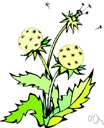 weed - any plant that crowds out cultivated plants