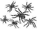 order Araneae - spiders