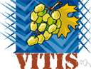 Vitis - the type genus of the family Vitaceae