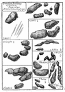 droppings - fecal matter of animals