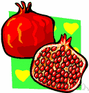 pomegranate - shrub or small tree native to southwestern Asia having large red many-seeded fruit